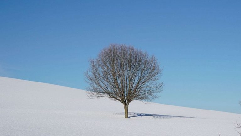 Snow, severe weather and flood threats across the Eastern US