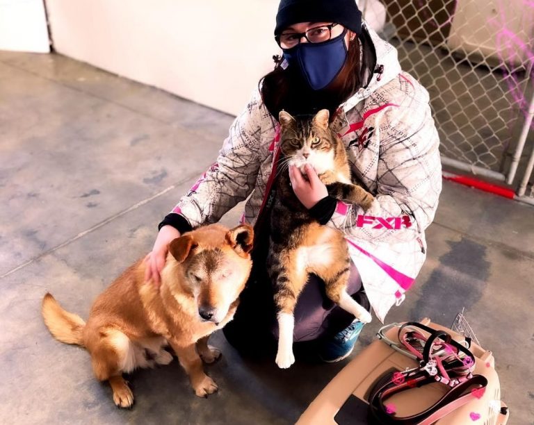 Blind dog and his guide cat surrendered to Alberta animal shelter adopted to Manitoba home