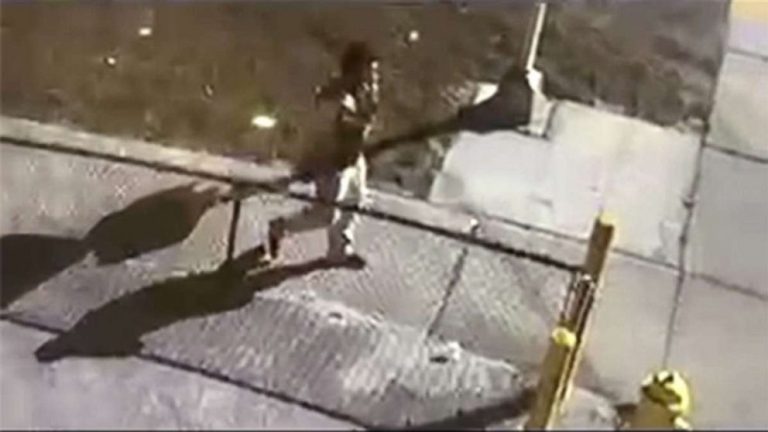 Car stolen with COVID-19 vaccines inside
