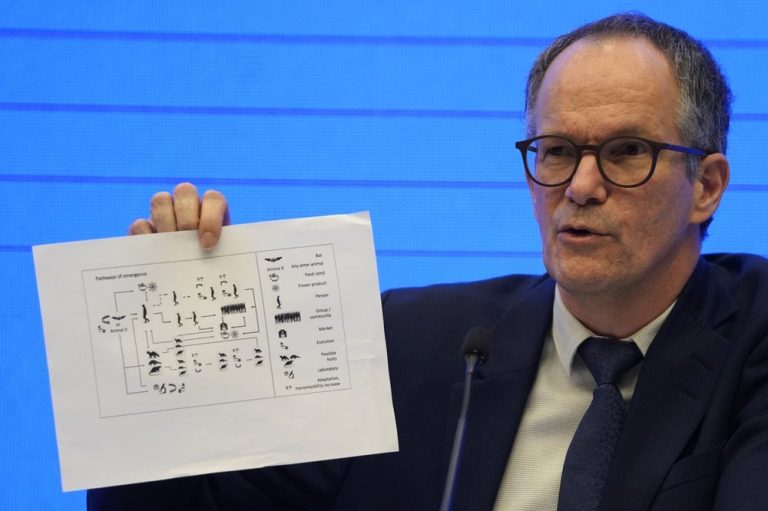 Unlikely COVID-19 leaked from lab in China, WHO says