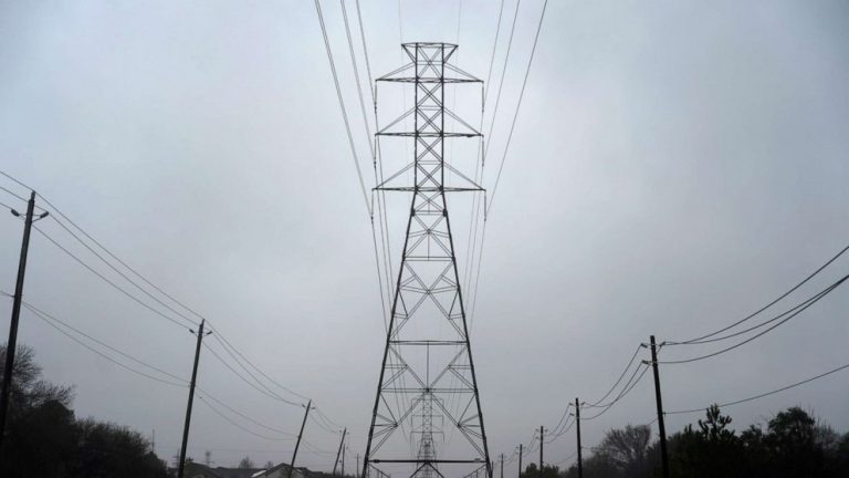12 primates die at Texas animal sanctuary after frigid weather causes power failure