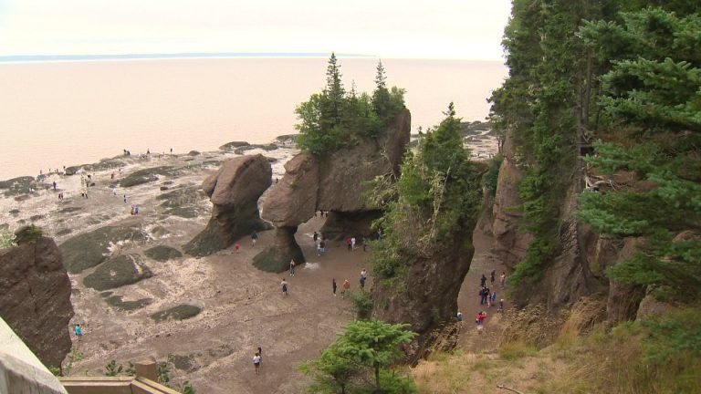 New Brunswickers still waiting for province’s promised staycation rebate