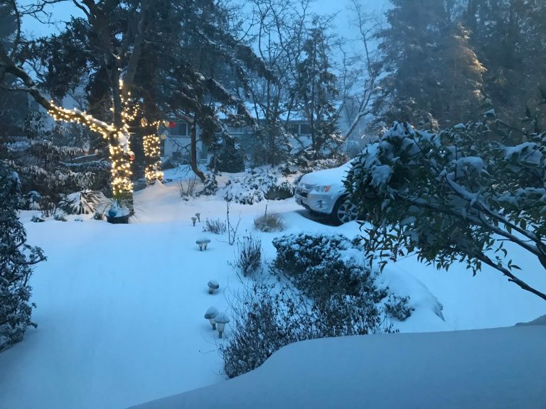 Snow blankets B.C.’s South Coast, with more to come