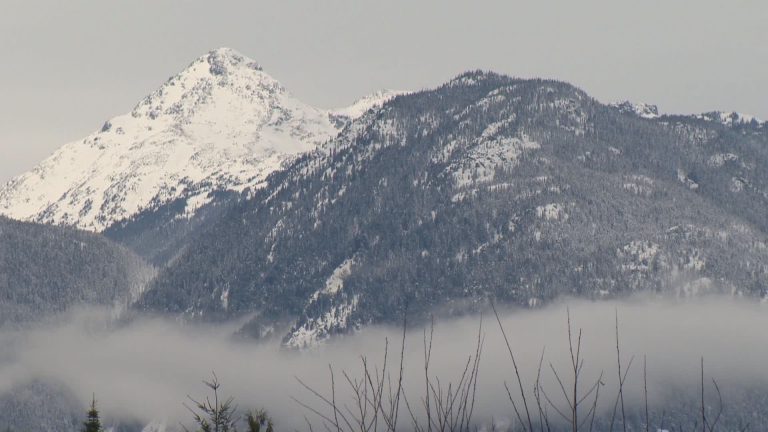 Brandywine Bowl avalanche is Whistler area’s second slide in as many days