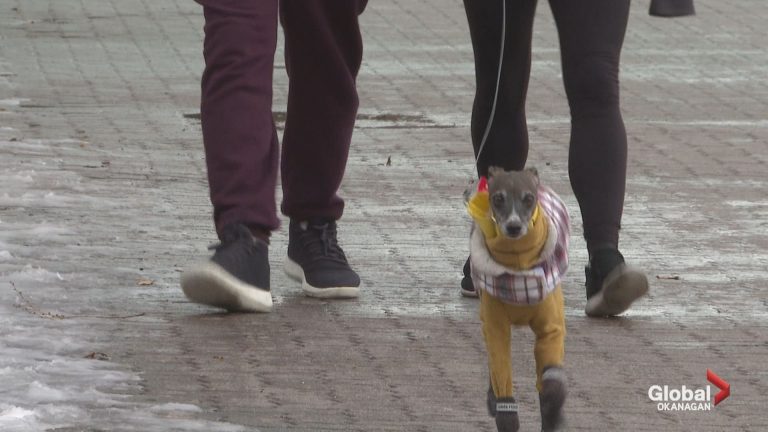 Wintery weather could be over for Okanagan residents