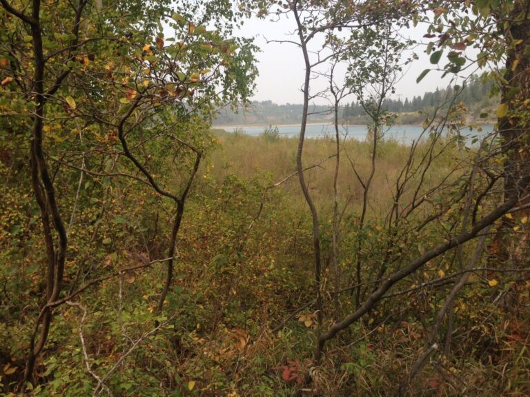 Alberta government commits $300K for Big Island Provincial Park