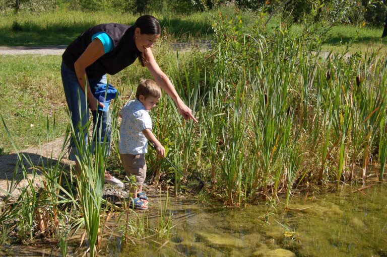 Ontario investing $20M to expand protection, preservation of green and natural spaces