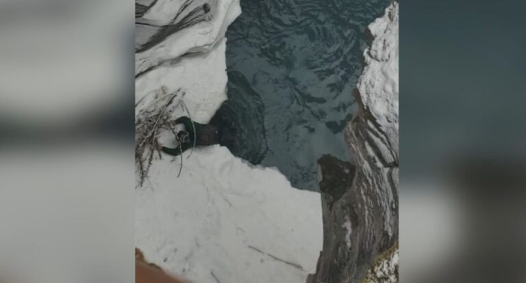 Man has close call after falling into frigid river at Athabasca Falls: ‘It isn’t worth it’