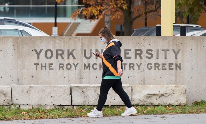 York University says professor’s comments to student do not reflect the school’s values
