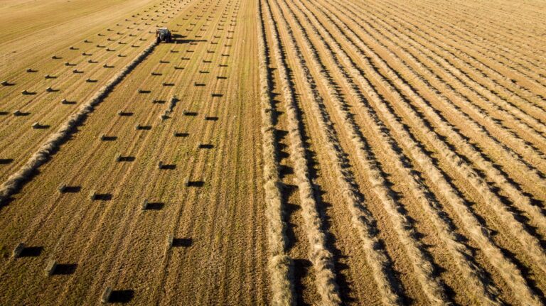 Farmers concerned criteria for federal carbon credits may leave them out