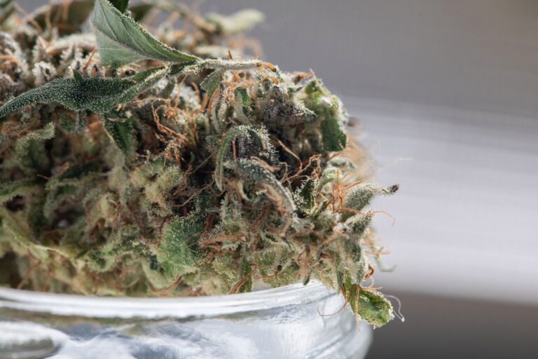New York lawmakers reach agreement to legalize recreational cannabis