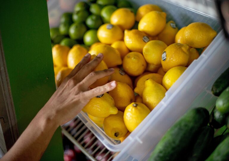 17% of food produced globally wasted every year, U.N. report estimates