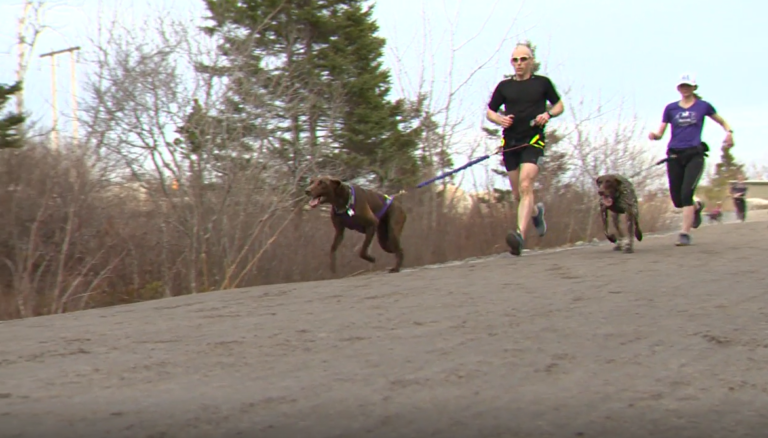 Who let the dogs out? Halifax group building connections between hounds and humans
