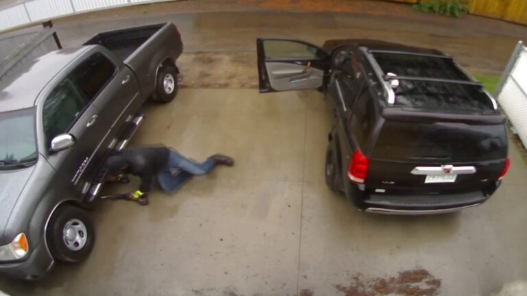 Why are thieves across Canada stealing catalytic converters?