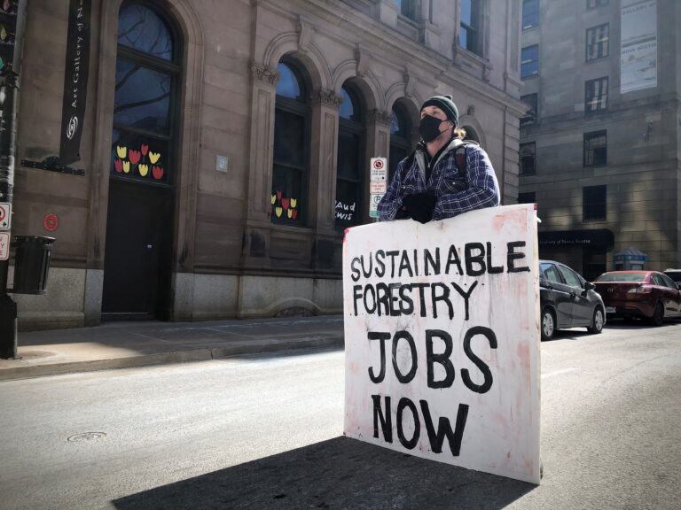 Protesters block downtown Halifax street to protect Nova Scotia forests, moose
