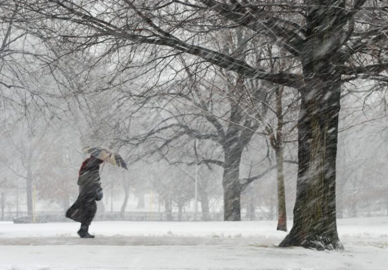 Wind warning issued for Calgary with gusts between 90-100 km/h expected