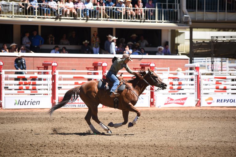 Should Alberta make rodeo the province’s official sport?