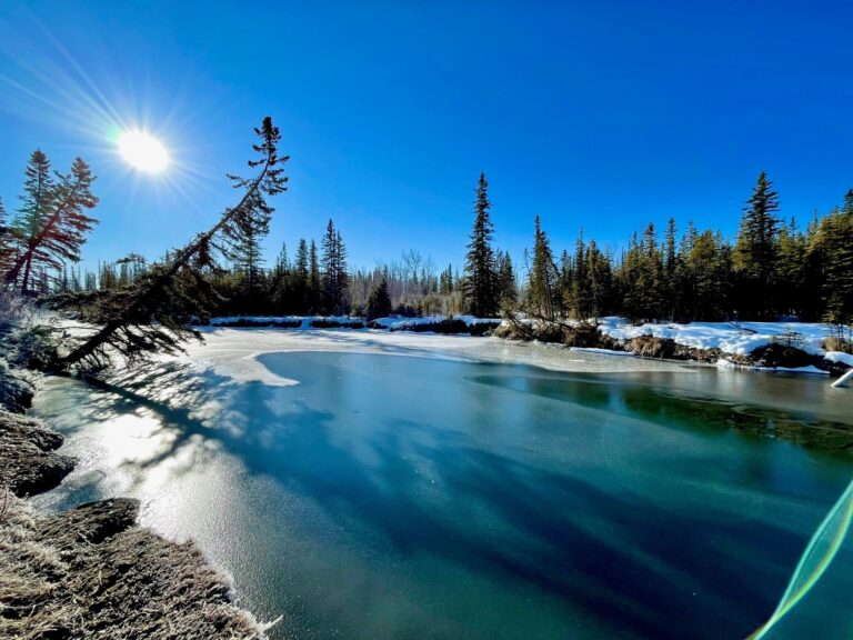 Calgary sets a new record high temperature for March 14