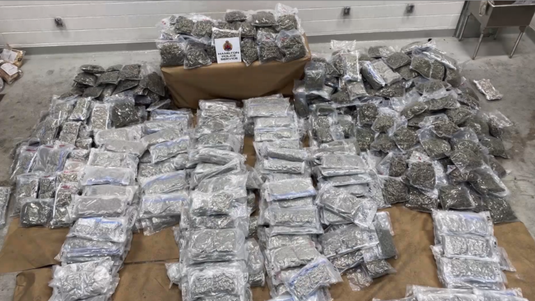 Hamilton Police seize $4.5M worth of cannabis destined for U.S. from truck in Stoney Creek