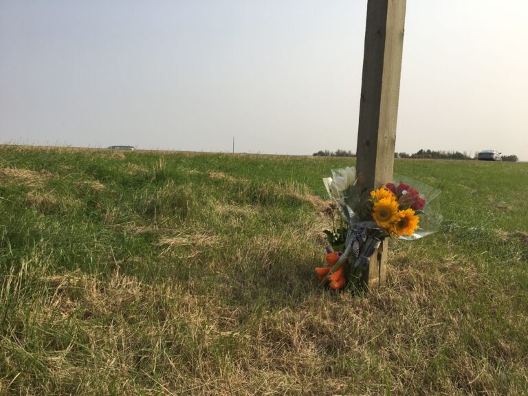 Saskatchewan man charged in crash that killed 2 Sherwood Park teens pleads guilty