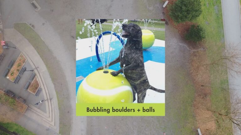 ‘SuperDogs’ style dog playground proposed for park on Vancouver’s False Creek