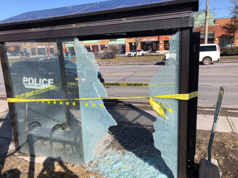Transit bus shelters smashed throughout Lindsay: police