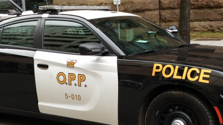 Driver faces multiple charges in Hagersville crash that sent woman to hospital