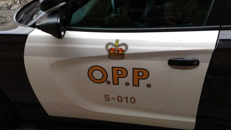 Woodstock man facing several charges related to child porn: OPP
