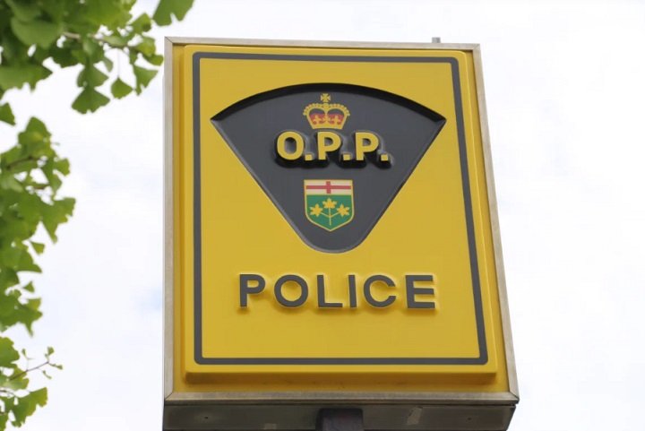 Man charged with manslaughter in connection with fatal opioid overdose in Wasaga Beach, Ont.