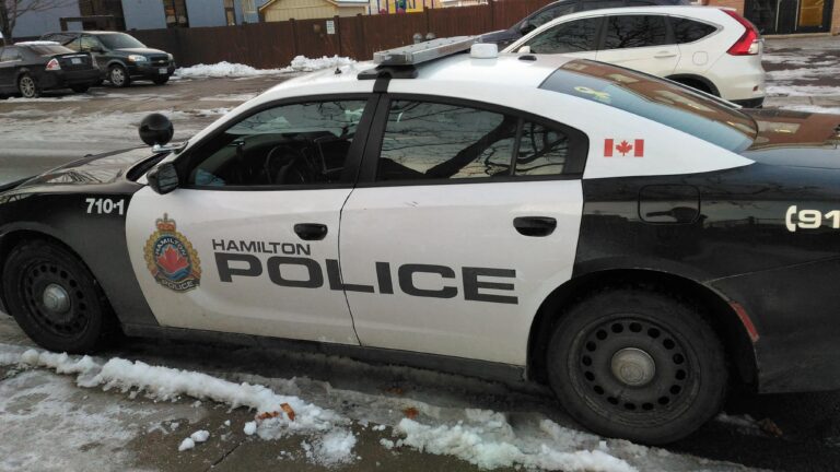 Hamilton police charge pair with string of gunpoint pharmacy robberies