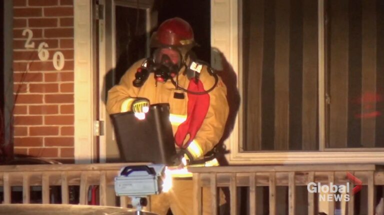 Pets rescued from kitchen fire at Romaine Street home in Peterborough