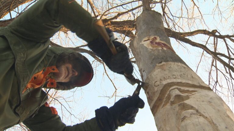 Terrebonne artist carves out smiles with sculptures along nature trail