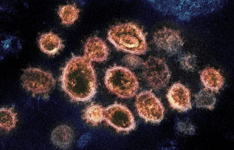 Coronavirus: Manitoba reports 5 new cases of UK variant, 8 new cases of South African strain