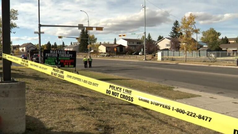 Charges laid in death of Calgary senior hit by stolen car