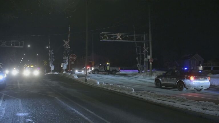 Man walking dog dies after being hit by a train in east-end Montreal