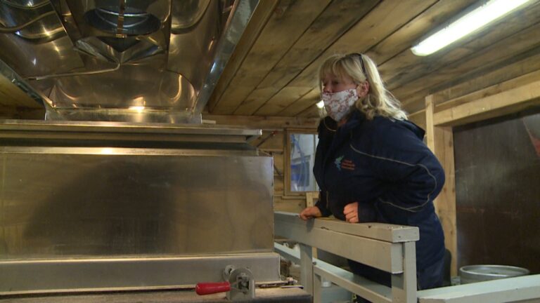 Ontario maple syrup season off to a slow start