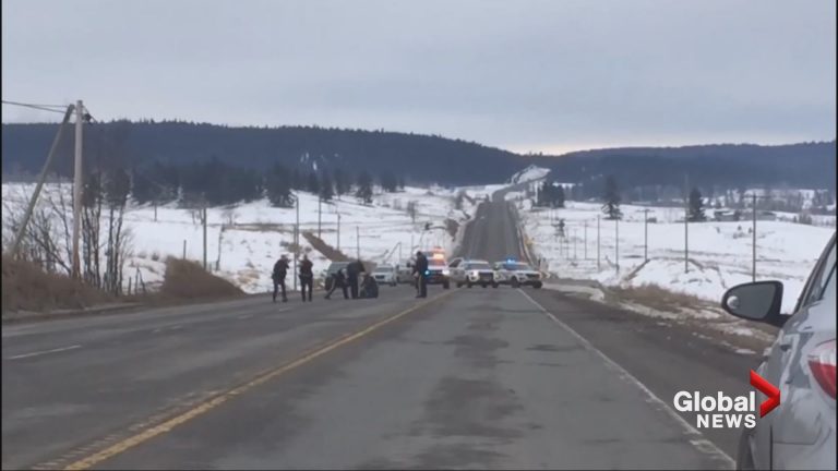Video shows B.C. RCMP arresting car theft suspects on Highway 97