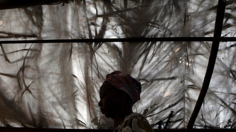 Thousands flee rebel violence in Central African Republic