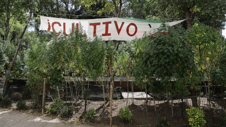 Mexican lawmakers advance bill to legalize recreational pot