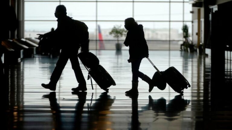 US air travel rises to highest levels yet since pandemic hit
