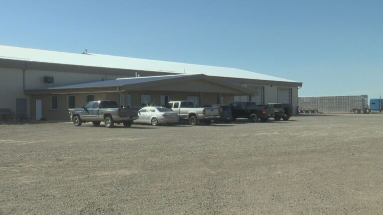 Cattle-hauling employees disappointed to not qualify for Critical Worker Benefit