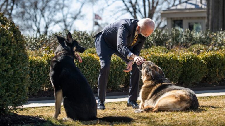 Major Biden: From the White House to the dog house?