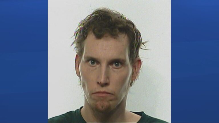 High-risk sex offender residing in North Central neighbourhood: Regina police