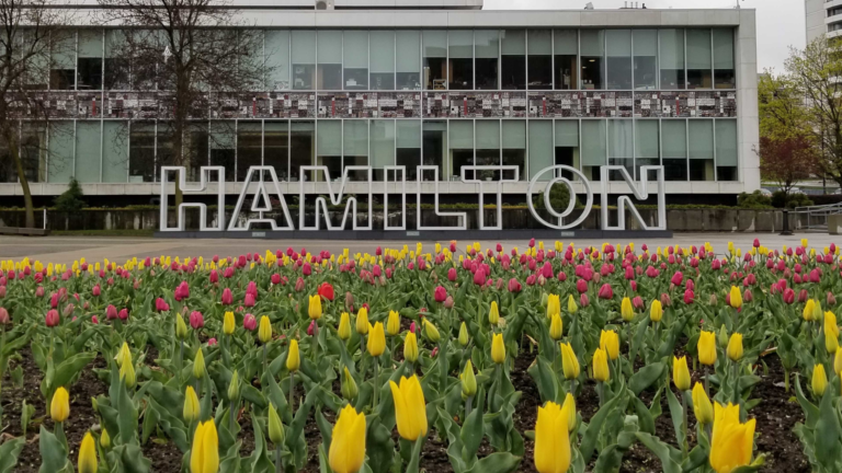 City will study new board of health governance structure in Hamilton