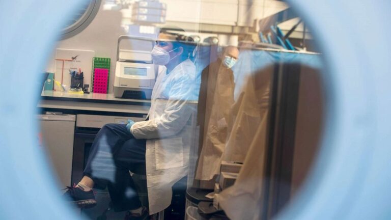 New Google.org COVID-19 database could hold key to disease’s mysteries
