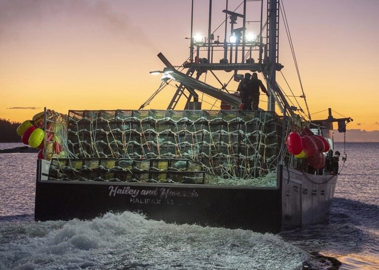 Ottawa announces $4.85M to buoy Nova Scotia’s struggling fish and seafood sector