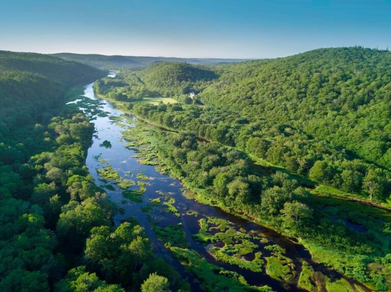 Nova Scotia Liberals alter tabled biodiversity bill by reducing enforcement powers