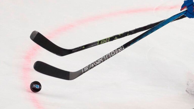 Russian hockey player dies after being hit by puck