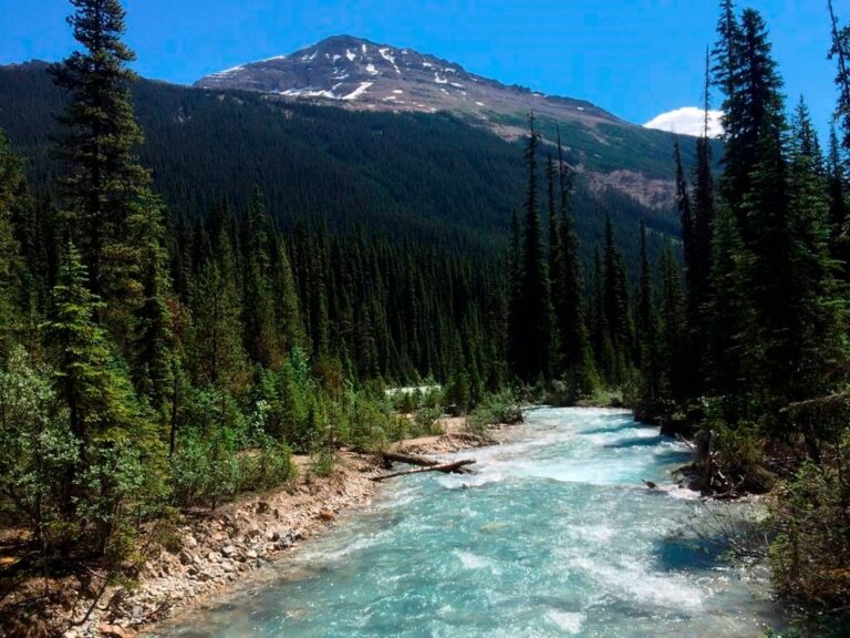 COVID 19 weakened environmental rules across Canada, mostly in Alberta: study