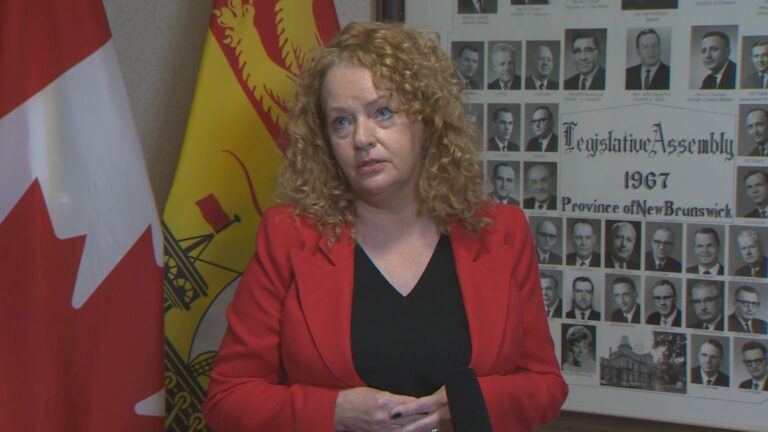 ‘More of the same paternalism’: First Nations groups call N.B. systemic racism commissioner announcement ‘disappointing’